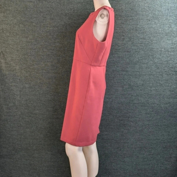 For Kitty Rescue! Loft Cutout Sheath Dress - Picture 5 of 13